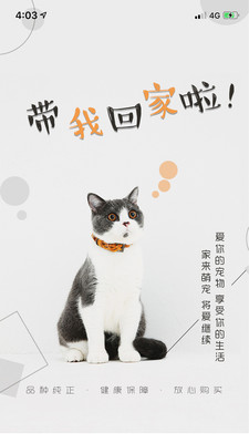 猫行狗市宠物交易市场app