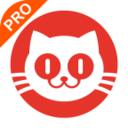 猫眼专业版实时票房app v6.5.4安卓版	