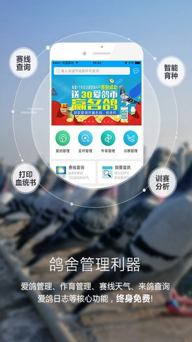 爱鸽者app