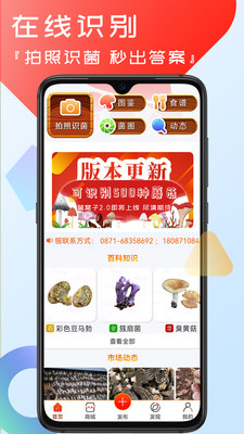 菌窝子app