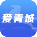 爱青城app官方最新版 v1.2.4安卓版