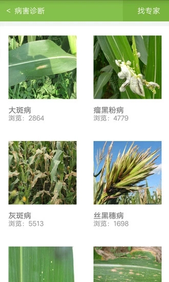 玉米通app