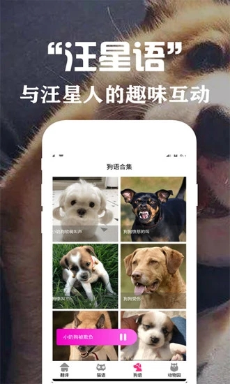 狗语翻译交流器app