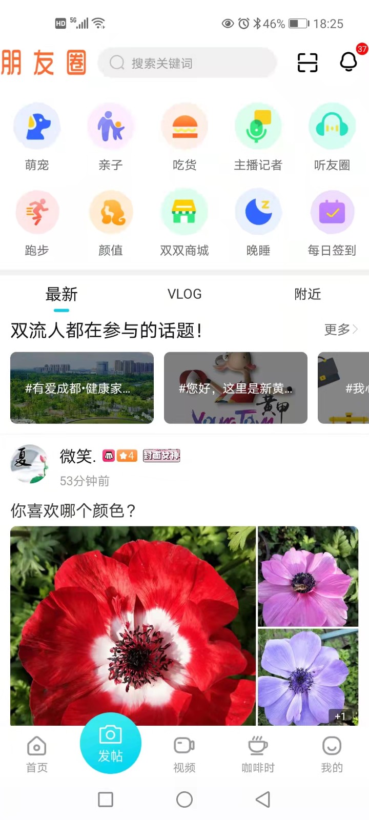 云上双流app