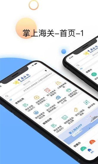 掌上海关app