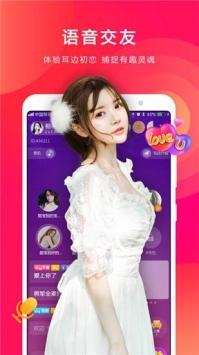 小V视频app最新版