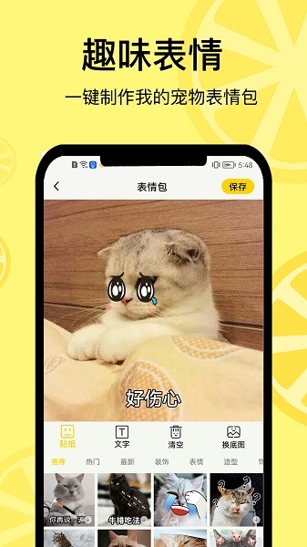 宠日常app