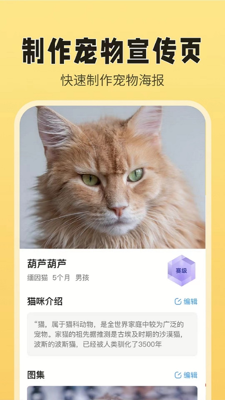 猫老板app