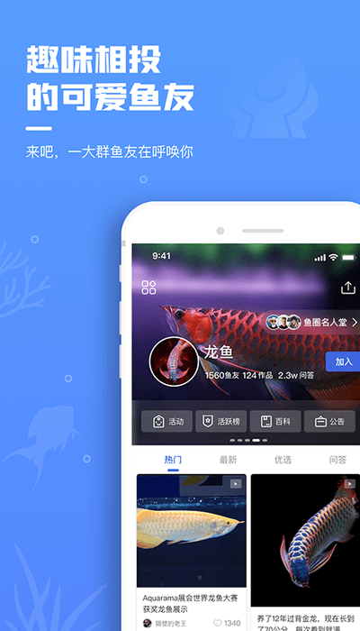 鲲天下app