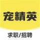 宠精英
