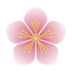 杏花视频