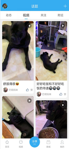 猛犬俱乐部app