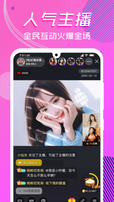 997tv红豆直播官方版