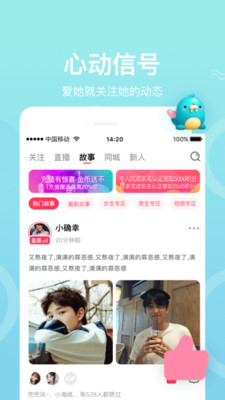 烟花雨直播app