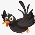 乌鸦影业传媒