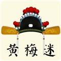 黄梅迷