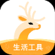 小鹿发现