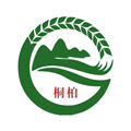 云上桐柏