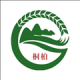 云上桐柏