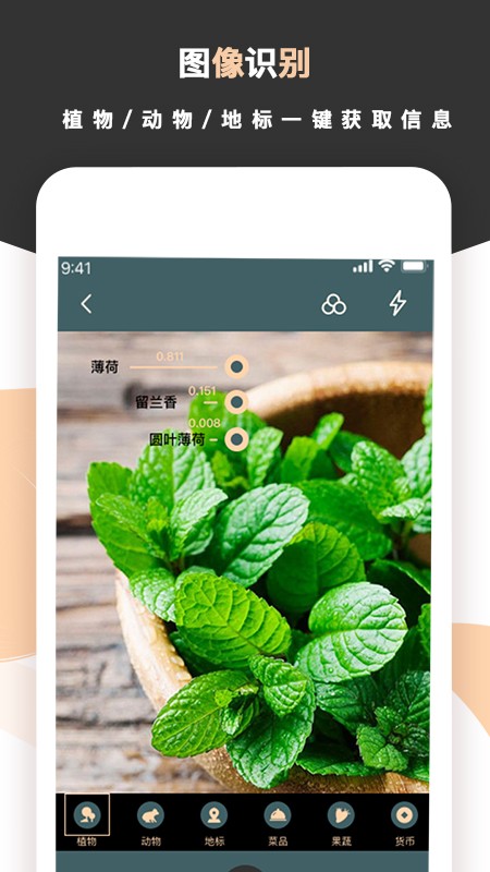 标准扫描王app