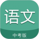 中考语文通