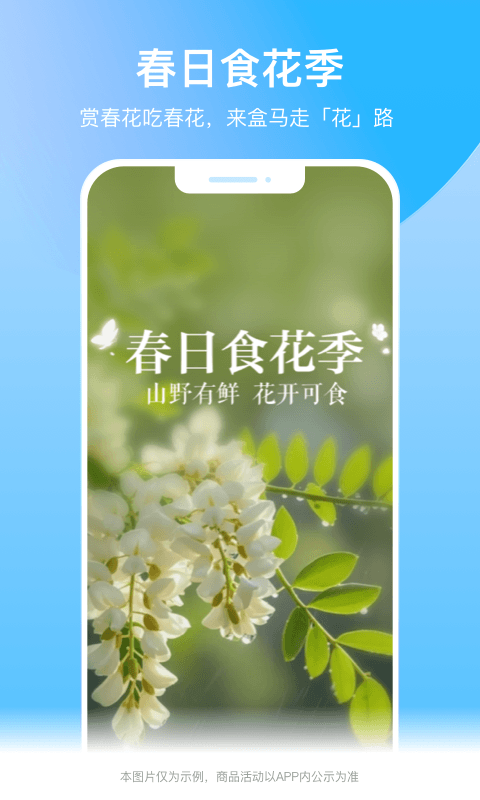 盒马长辈版app