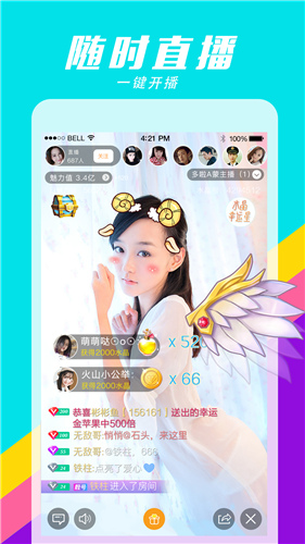 金鸡视频在线观看