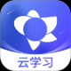 绚星云学习