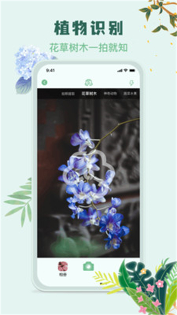 识花君植物识别app