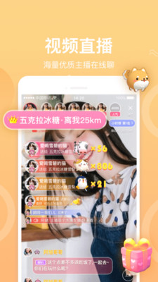 夜爱直播app纯净版