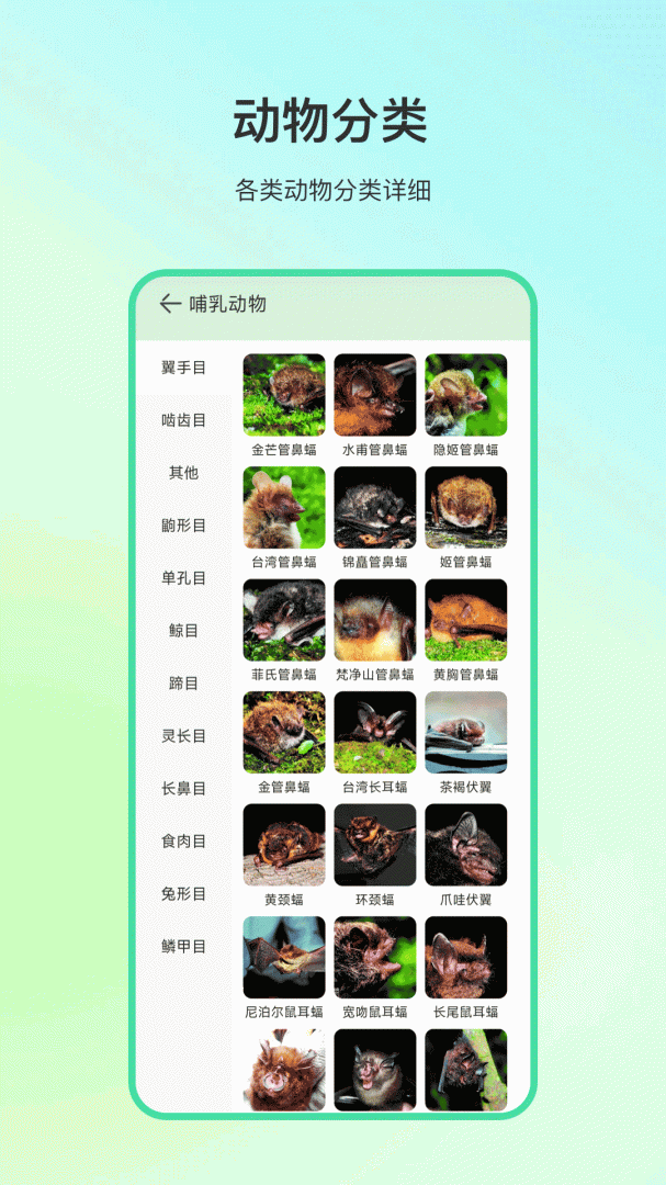动物百科app