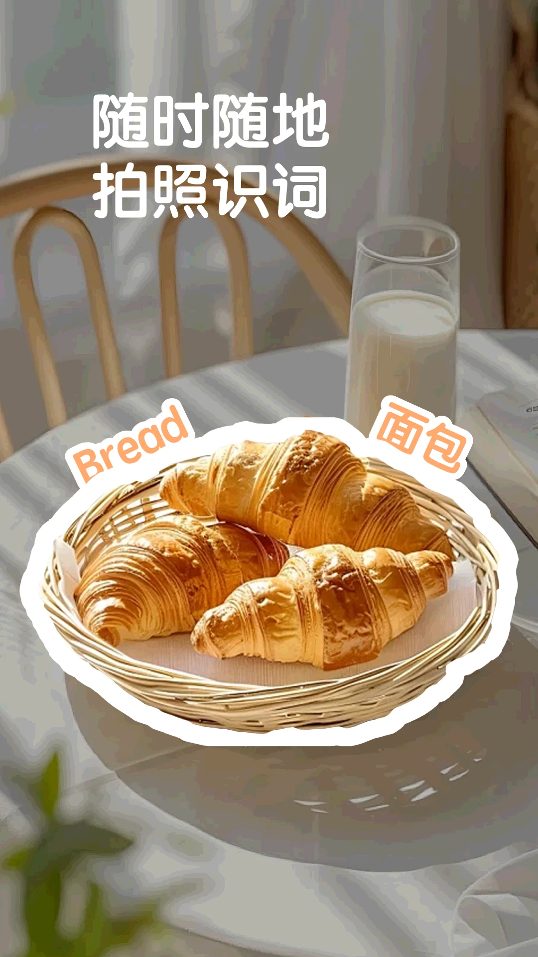 拍物识词app