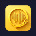 听音伴侣